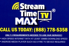 Steam Time TV Max